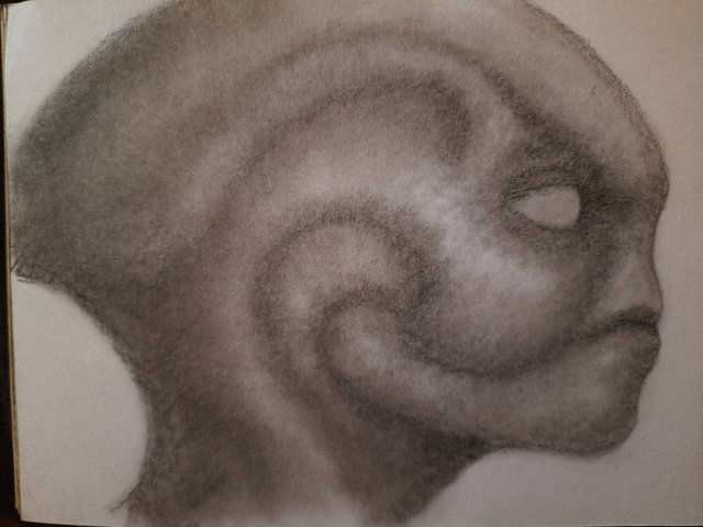 20250425_105938.jpg