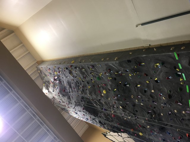 my 6 year old climbing.JPG