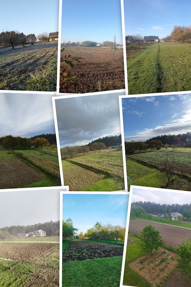 IMG_20191101_084155-COLLAGE.jpg