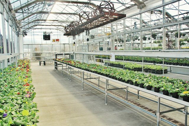 greenhouse-3247271_1280.jpg