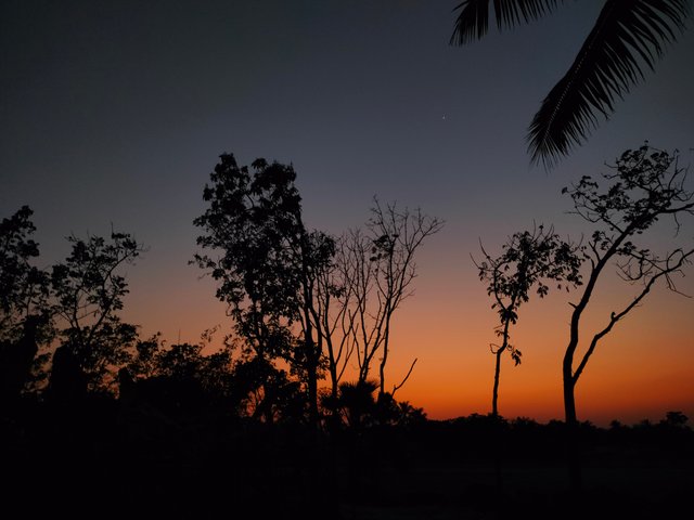 IMG20250214181734.jpg