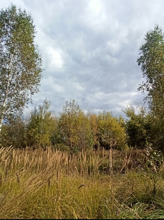 Screenshot_20250916_225556.jpg