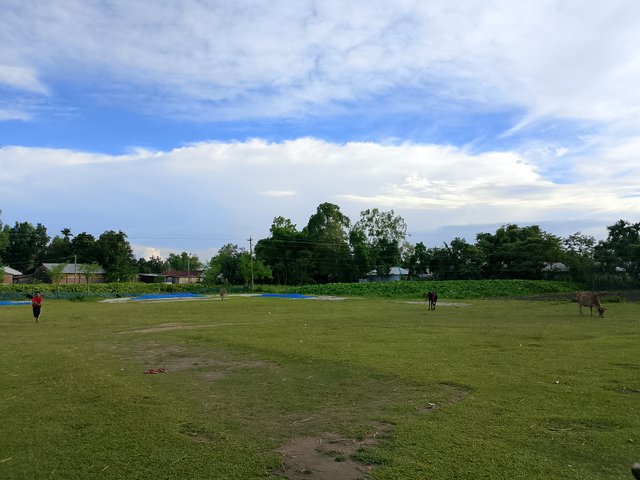 1000043710.jpg