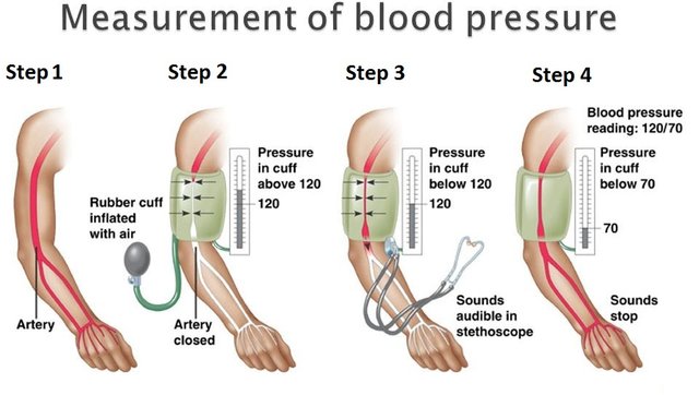 bp-measurement1.jpg