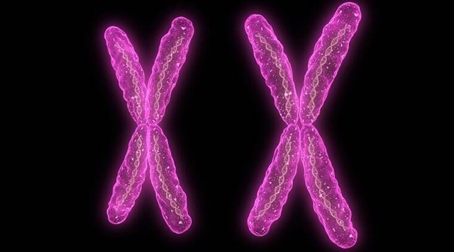 x-chromosome-thinkstock-2-2067901442.jpg