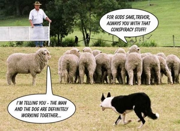 aa-conspiracy-theory-sheep-noting-man-and-dog-working-together-excellent-one.jpg