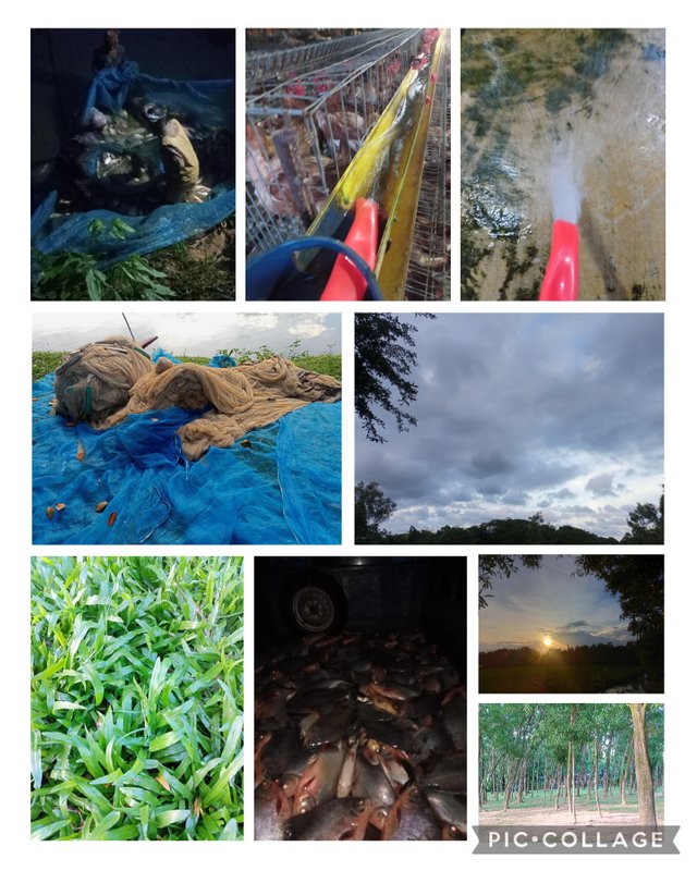Collage_2025-08-21_22_37_52.jpg