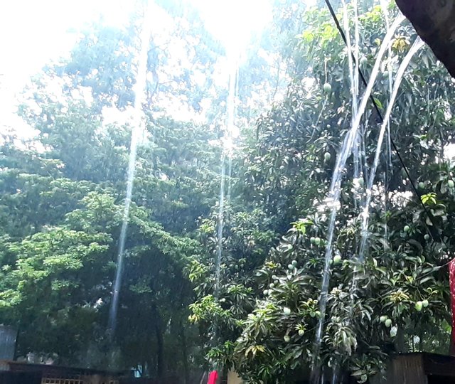 20230523_160135.jpg