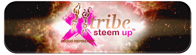 tribesteemup orange banner