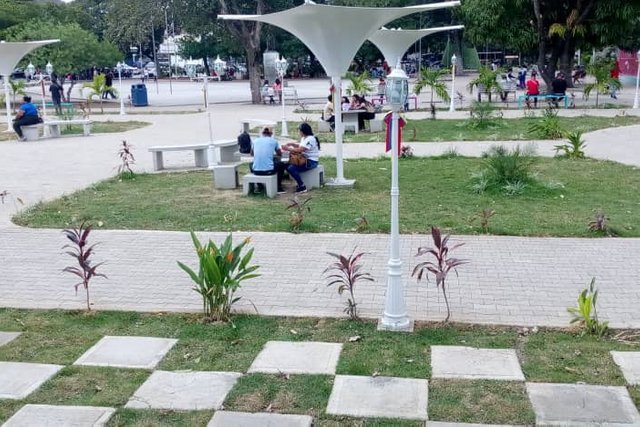 1000047011.jpg