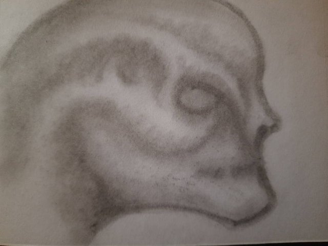 20250428_111723.jpg