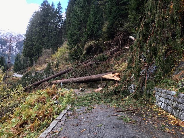 maltempo-alberi-alpi-disastro-dolomiti-novembre-2018-7.jpg