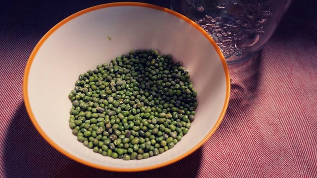 mung-bean-sprouts.jpg