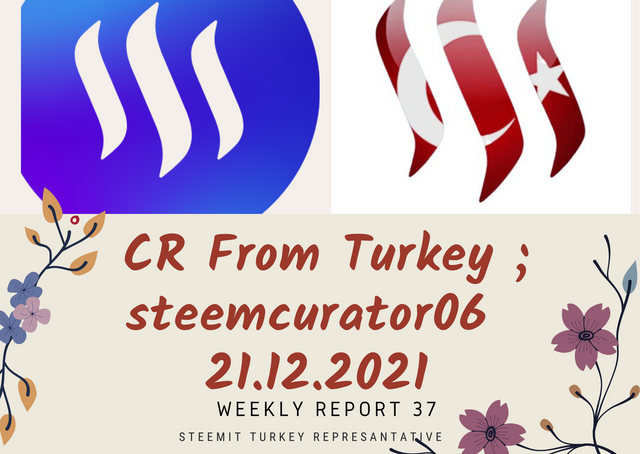 Second Weekly -steemcurator03 Turkey Curator Report.png