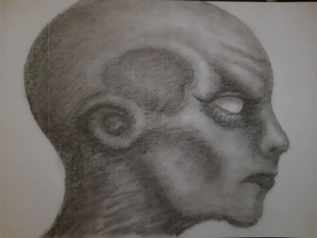 20250624_103328.jpg