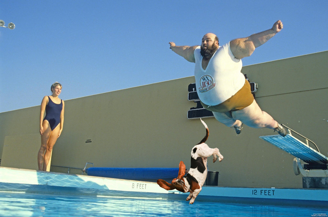 photobomb_fat_guy_diving.png
