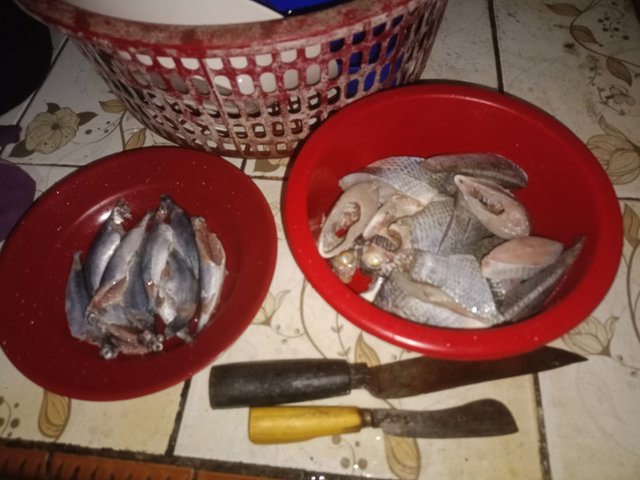 IMG20250819121445.jpg