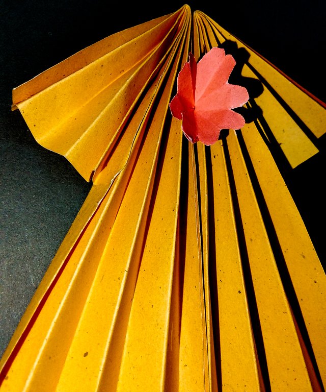 IMG20250720173910.jpg