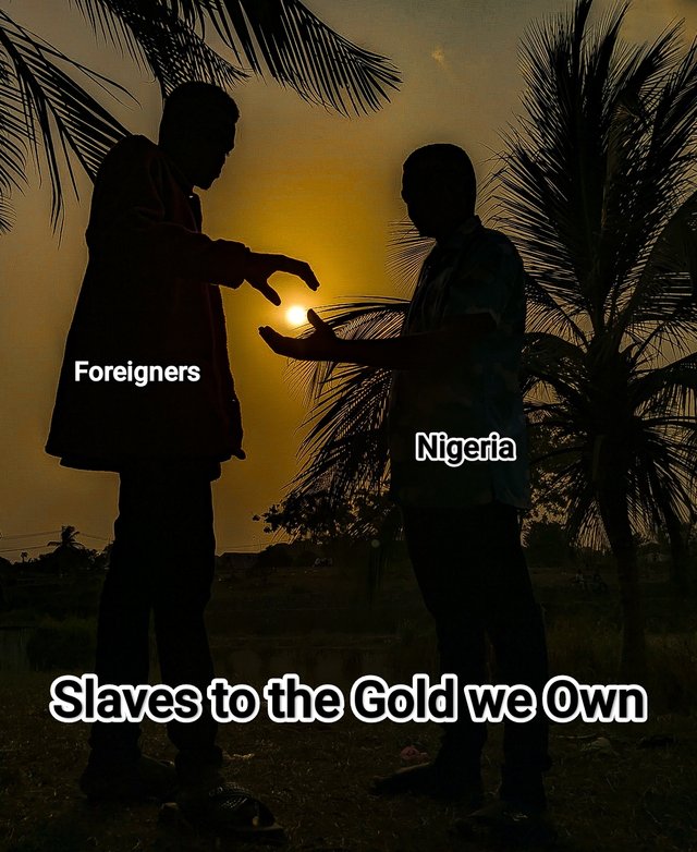 1001053155.jpg