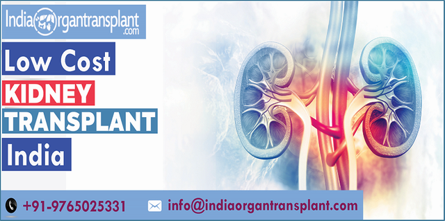 kidney transplant in India.png