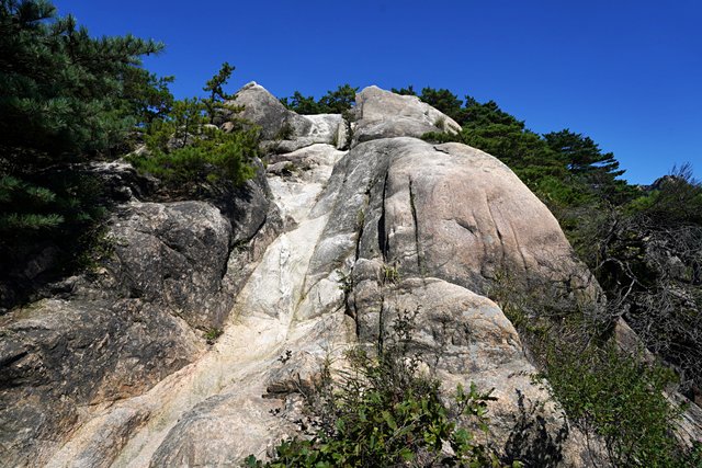 b-DSC01682.JPG