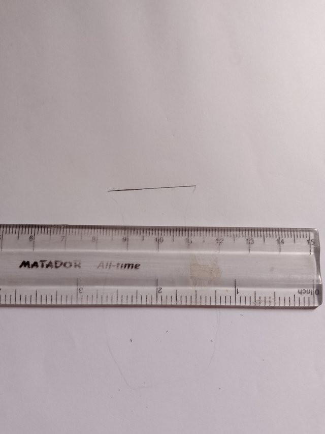 1000051045.jpg