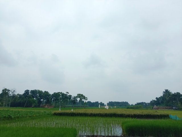 IMG_20250812_195928.jpg