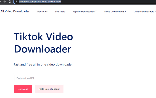 Tiktok Video Downloader.png