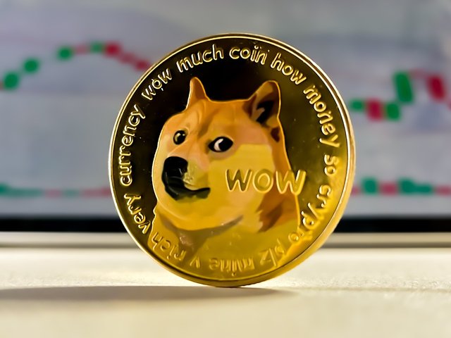 doge-6950599_1280.jpg