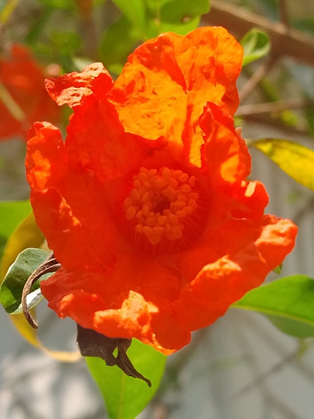 IMG_20250309_120655.jpg