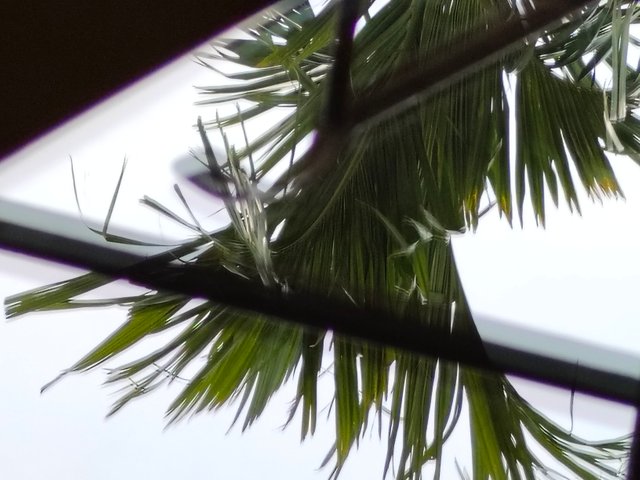 1000056723.jpg