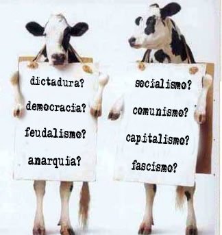 vacas.jpg