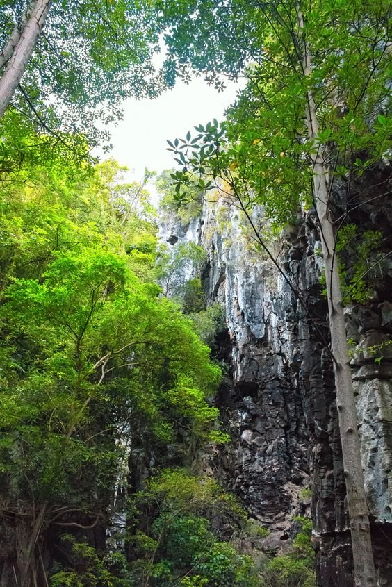 Cueva del Indio.jpg