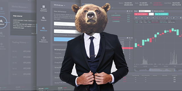 profit in a bear market.png