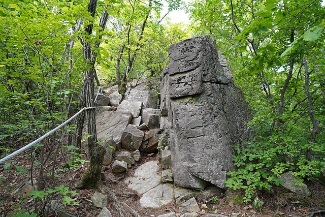 b-DSC07392.JPG