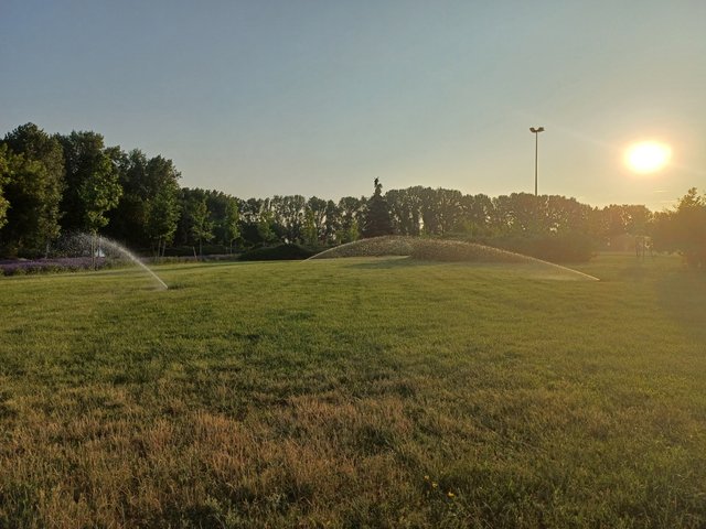 20250616_055249.jpg