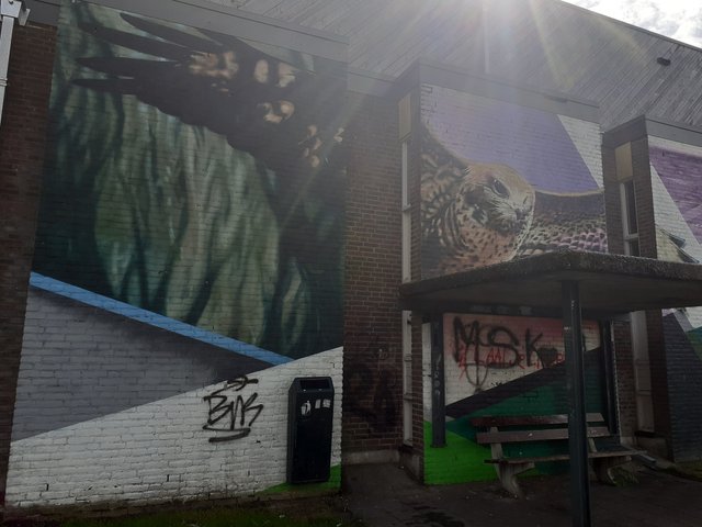 20250916_131523.jpg