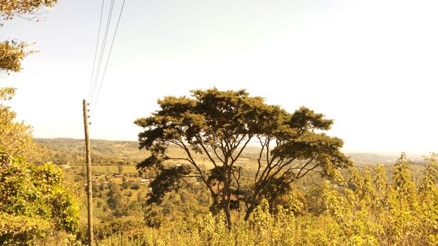 ngong_hills_forest_road.jpeg