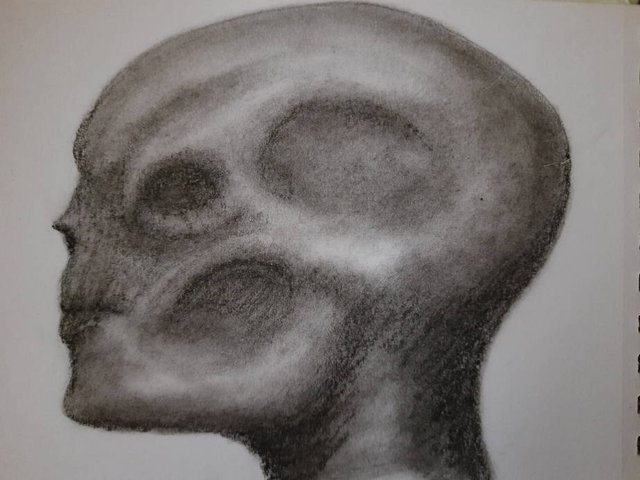 20250928_094246.jpg