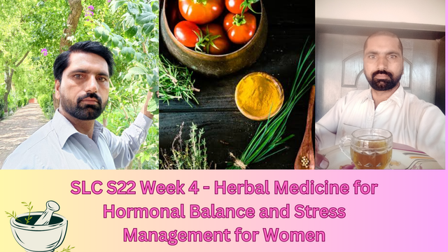 SLC S22 Week 3 - Herbal Medicine for Men's Hormonal Health_20250109_175850_0000.png