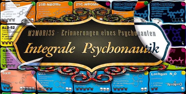 Integrale Psychonautik - Cover.jpg