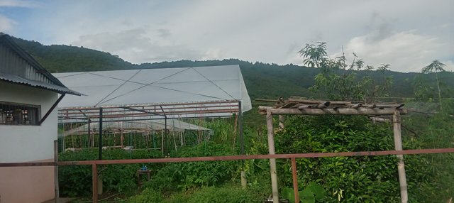 20250714_164729.jpg