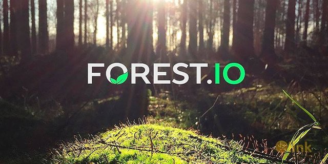 1344_ico-forest-foundation_thb.jpg