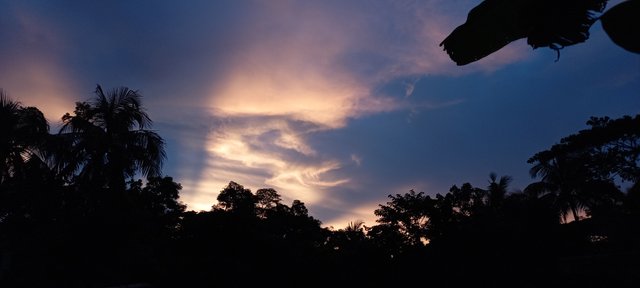 20220805_184137.jpg
