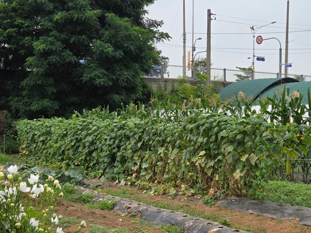 20250707_132836.jpg