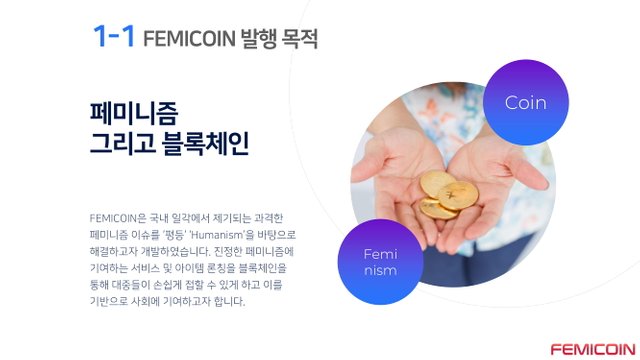 FemiCoin백서 v0.22-04.jpg