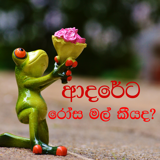 rose sinhala.png