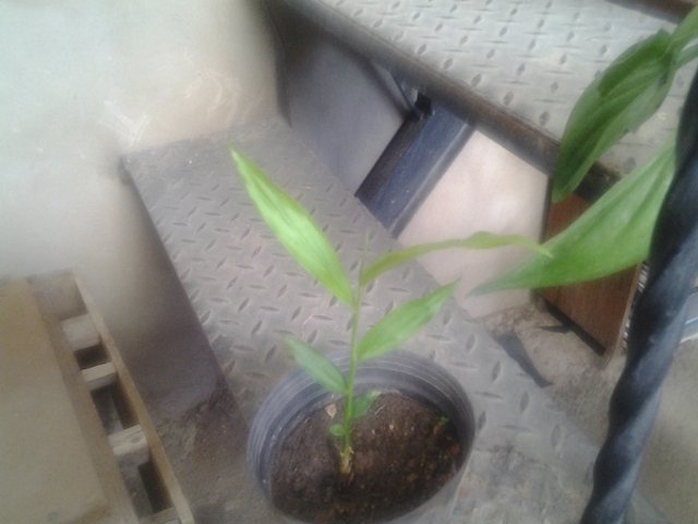 20201120_121732.jpg