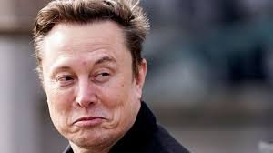 Elon Musk Changes Profile Picture on X, Price of This Altcoin Soars