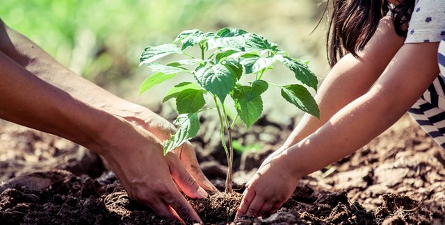 Arbor-Day-tree-planting_galleryX.jpg